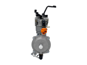 LPG CNG Petrol Dual Fuel Carburetor Fit GX160 168F Manual Generator
