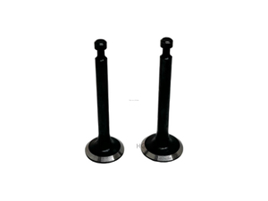 GX25 GX25NT Intake Inlet Exhaust Valve Brush Cutter Lawn Mower Parts