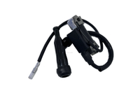 Black Spark Coil 2KW 3KW 168F 170F GX168 GX160 GX200 Gasoline Generator Engine Parts Ignition Coil