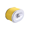 GX110 GX120 Oval Air Filter Cartridge for Mowers