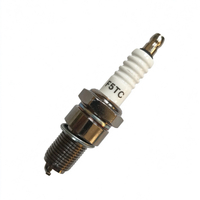 F5TC F6TC F7TC Spark Plug for Engine Generator Brush Cutter Parts